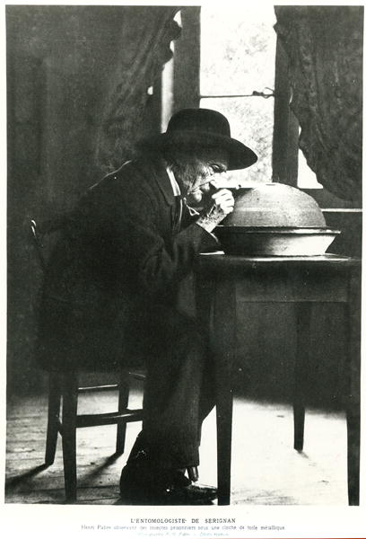 Jean-Henri Fabre (1823-1915) observing insects, from ''Souvenirs Entomologiques'', published in 1924 von French Photographer