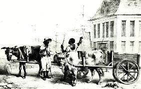 Boys with bullock carts, from ''Voyage a Surinam'' 1834