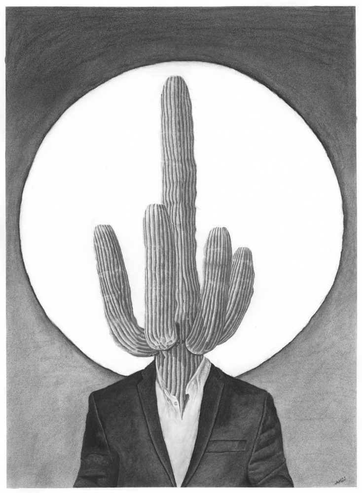Kaktus von Akin Durodola