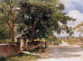 Straßeansicht in Nassau 1878