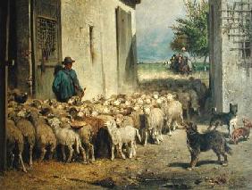 Return to the Sheepfold 1860