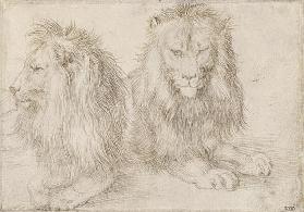 Zwei Löwen 1521