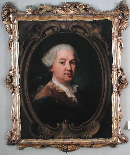 Portrait of Carlo Goldoni (1707-93) von Alessandro Longhi