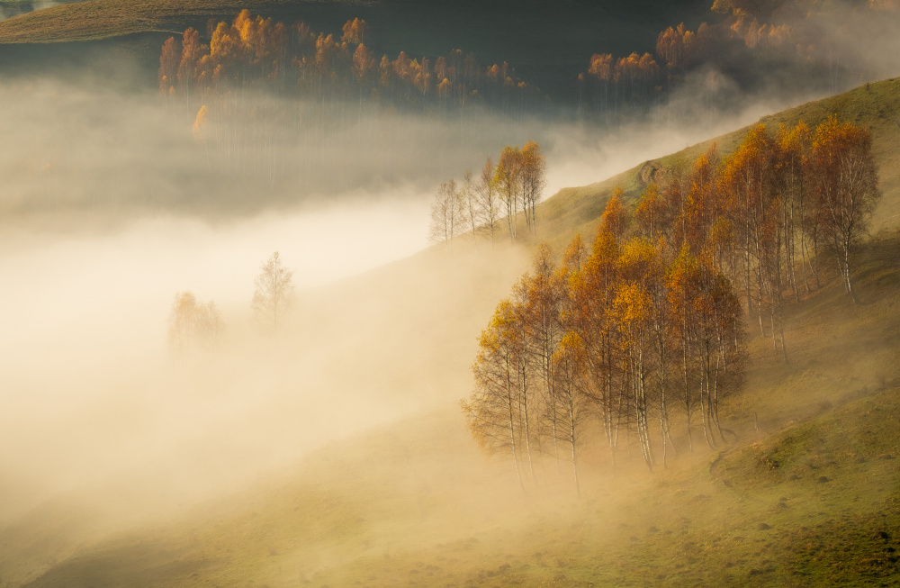 Herbstmorgen aus den Apuseni-Bergen von Alexandru Pavel