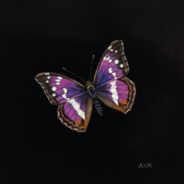 Purple emperor butterfly von  Amelia  Kleiser