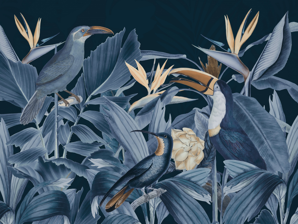 Regenwaldvögel blau von Andrea Haase