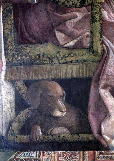 Rubino, the favourite dog of Marchese Ludovico Gonzaga III of Mantua and his family, from the Camera von Andrea Mantegna