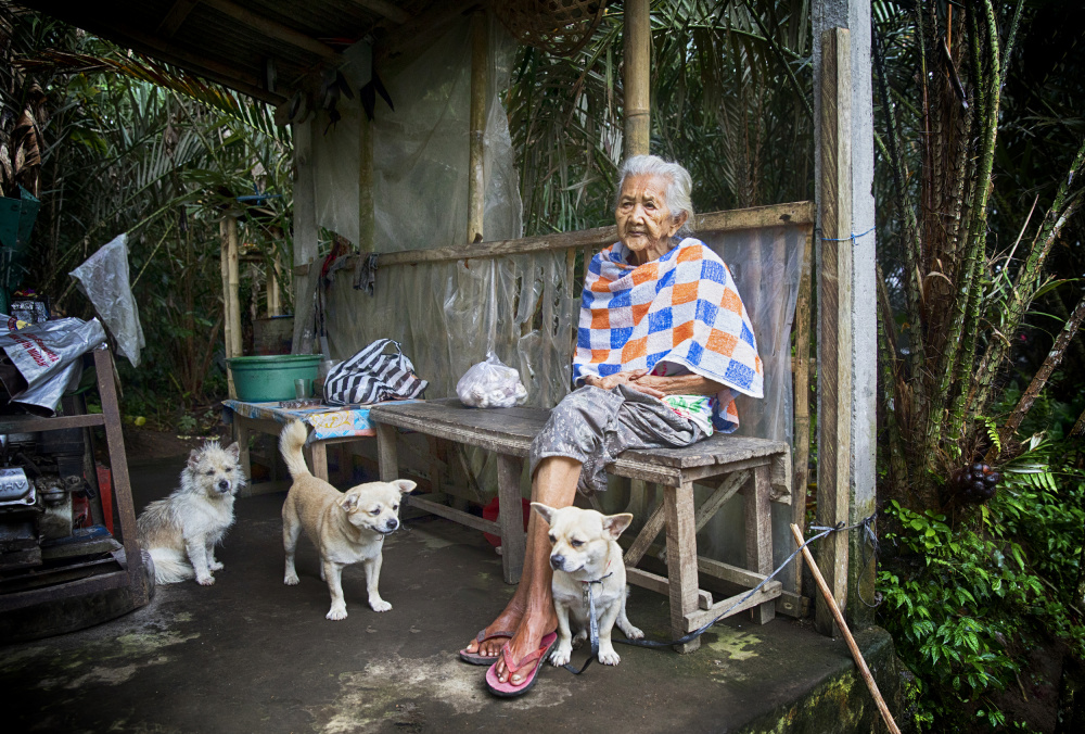 Alte Dame und 3 Hunde von Angela Muliani Hartojo
