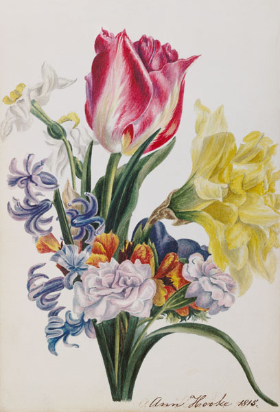 Spring Flowers von Anne Hooke