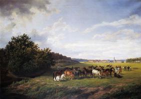 View of the Kladrub Studfarm in Bohemia 1850