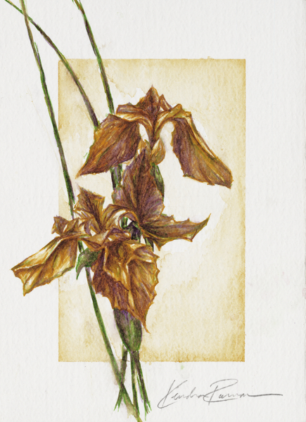 Golden Irises von ArtLifting ArtLifting
