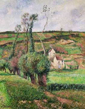 The Cabbage Slopes, Pontoise 1882
