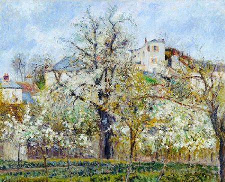 The Vegetable Garden with Trees in Blossom, Spring, Pontoise 1877