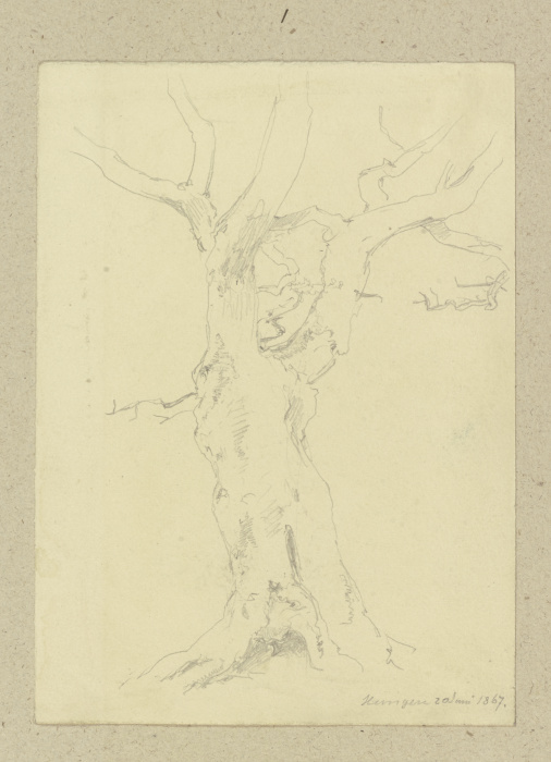 Alter Baum bei Hungen von Carl Theodor Reiffenstein