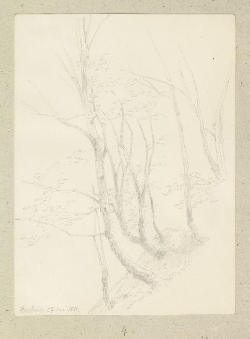 Bäume an einem Steilhang von Carl Theodor Reiffenstein