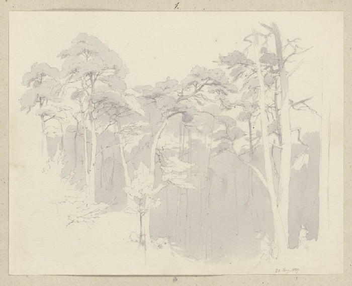 Blick in einen Wald von Carl Theodor Reiffenstein