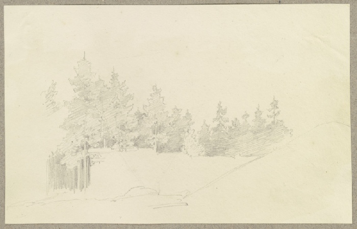 Holzstoß (?) am Rand eines Nadelwaldes von Carl Theodor Reiffenstein