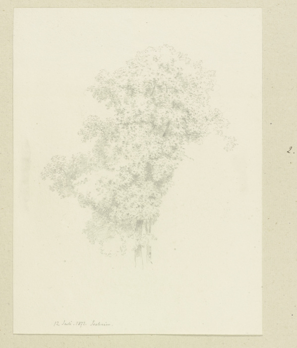 Krone eines Baumes bei Seeheim von Carl Theodor Reiffenstein