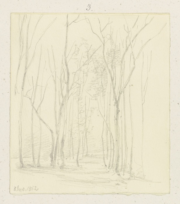 Waldpartie mit kahlen Bäumen von Carl Theodor Reiffenstein