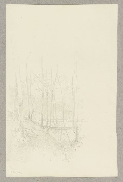 Waldpartie, über einen Graben führt eine Holzbrücke von Carl Theodor Reiffenstein