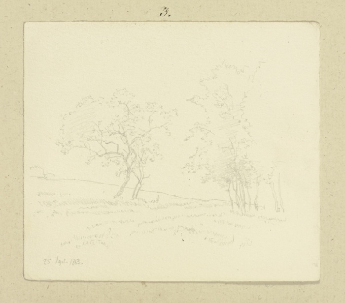 Zwei Bäume dies- und jenseits eines Gatters von Carl Theodor Reiffenstein