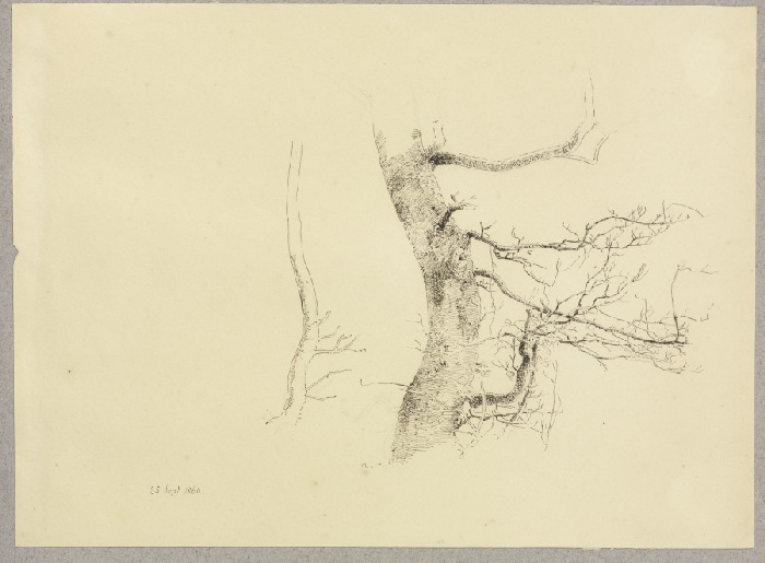 Zwei Baumstämme mit kahlen Ästen von Carl Theodor Reiffenstein