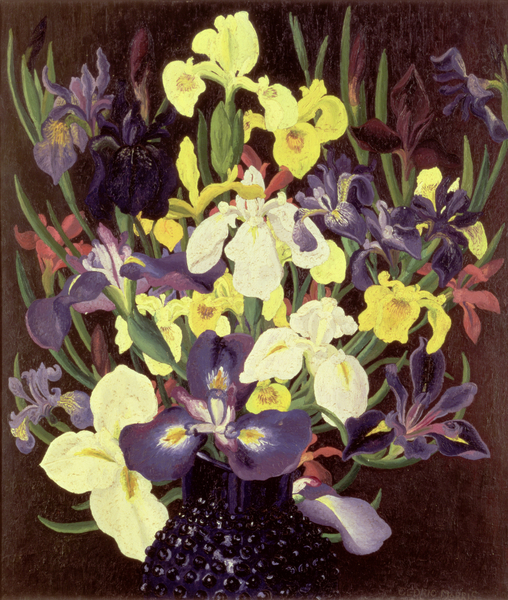 Group of Irises, c.1940 von Cedric Morris