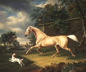 A Palomino frightened by an oncoming storm with a Spaniel 1814