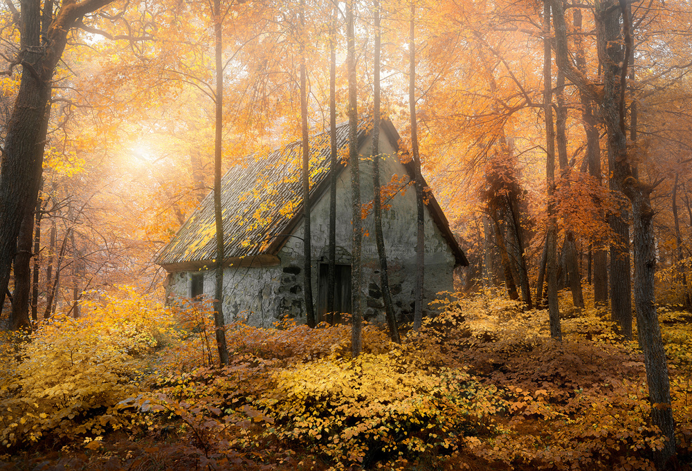 Haus im Wald während der Herbstsaison von Christian Lindsten