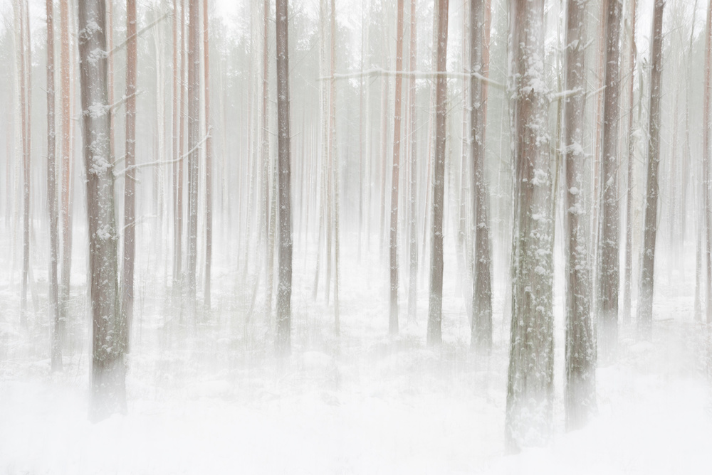 Winterwald in Schweden von Christian Lindsten
