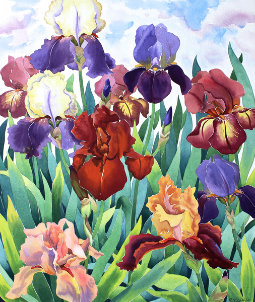 Glemsford Irises von Christopher  Ryland