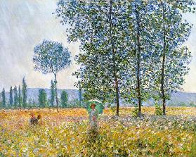 Felder im Frühling - Claude Monet