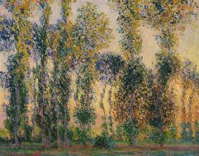 Pappeln bei Giverny, Sonnenaufgang 1888