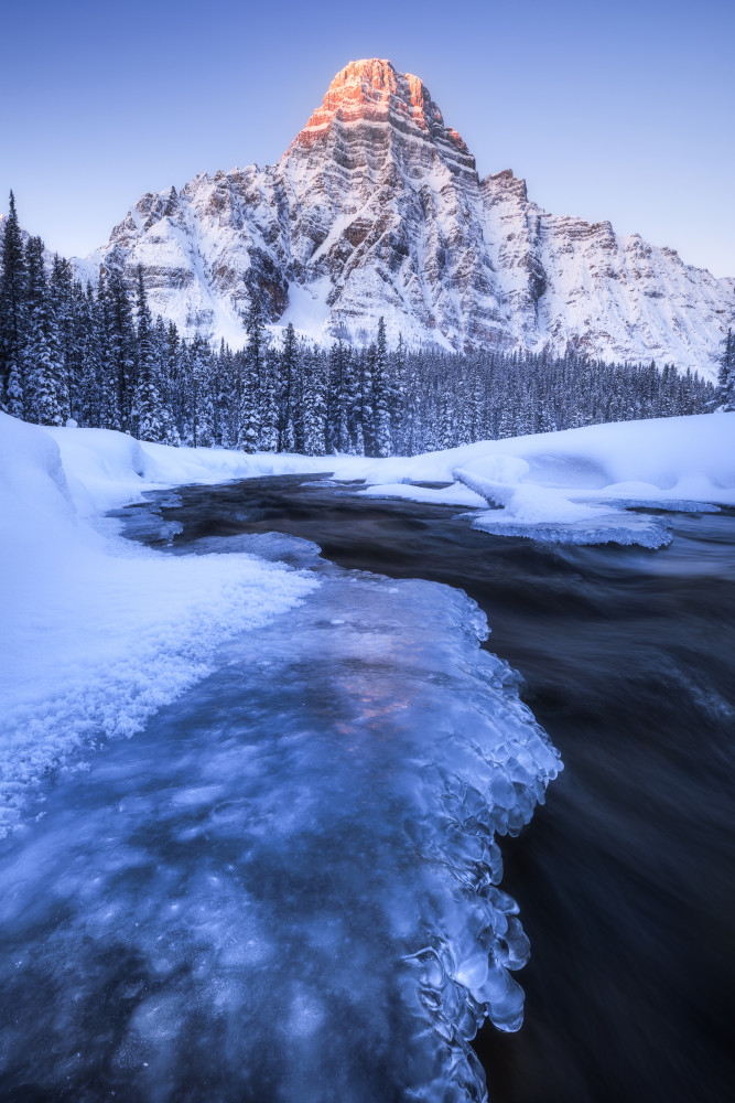 Winter in den Rocky Mountains von Daniel Gastager