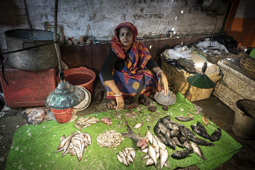 Fischmarkt in Kumartuli,Kalkutta von Elena Molina