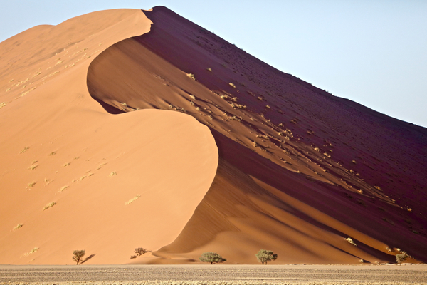 Dune, Sossusvlei von Eric Meyer