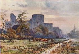 Pevensey Castle von den Meadwos 0