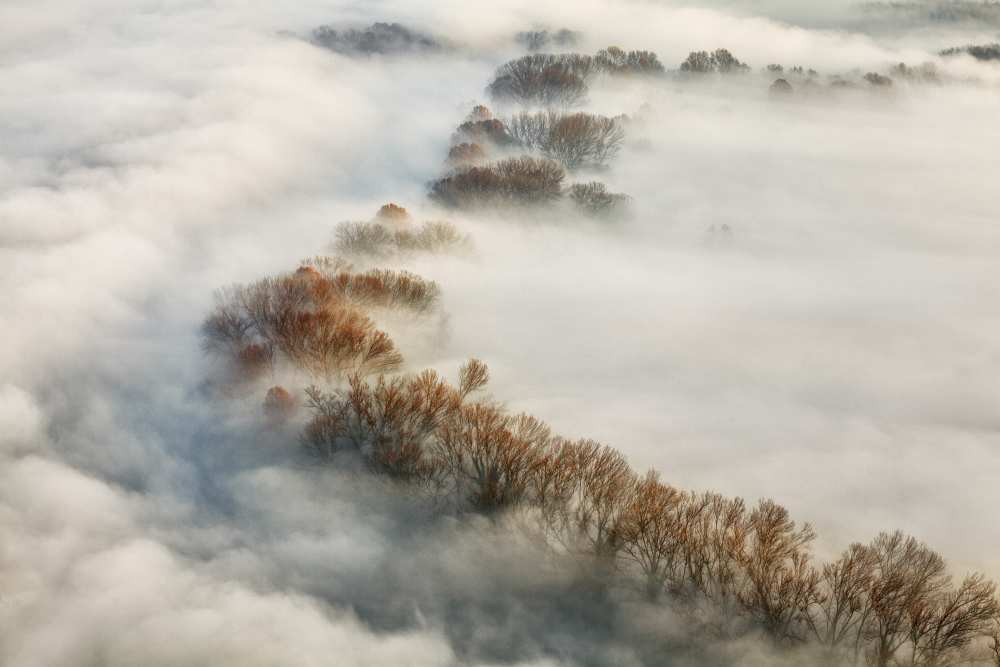 Foggy valley von Fiorenzo Carozzi