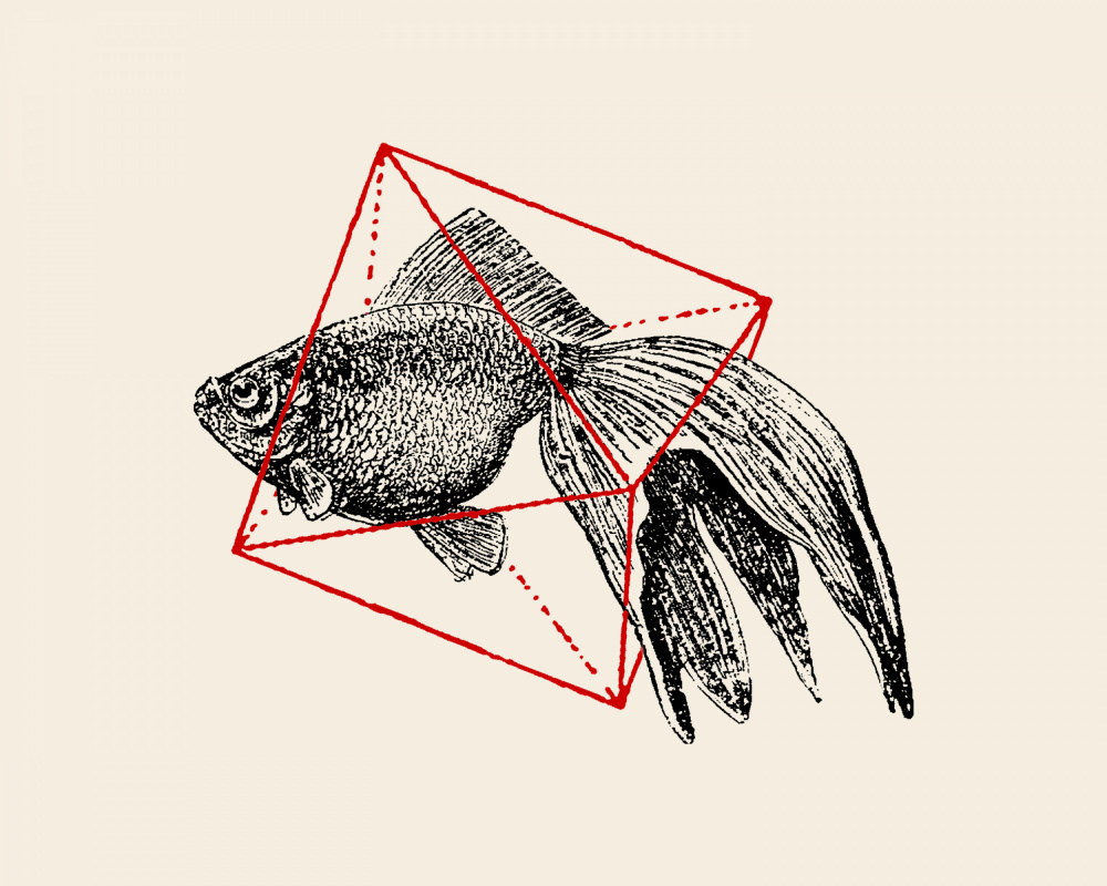 Fische in der Geometrie Nr. 3 von Florent Bodart