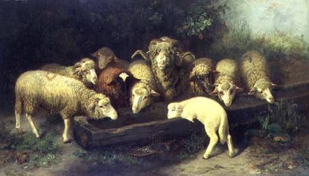 The Sheep Trough von Friedrich Ferdinand Schmalzigaug