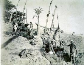 Shadufs in Upper Egypt (sepia photo) 19th