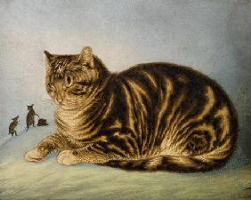 Puss Napping (print) 1804