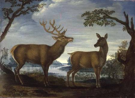 Stag and hind in a wooded landscape (panel) von German School
