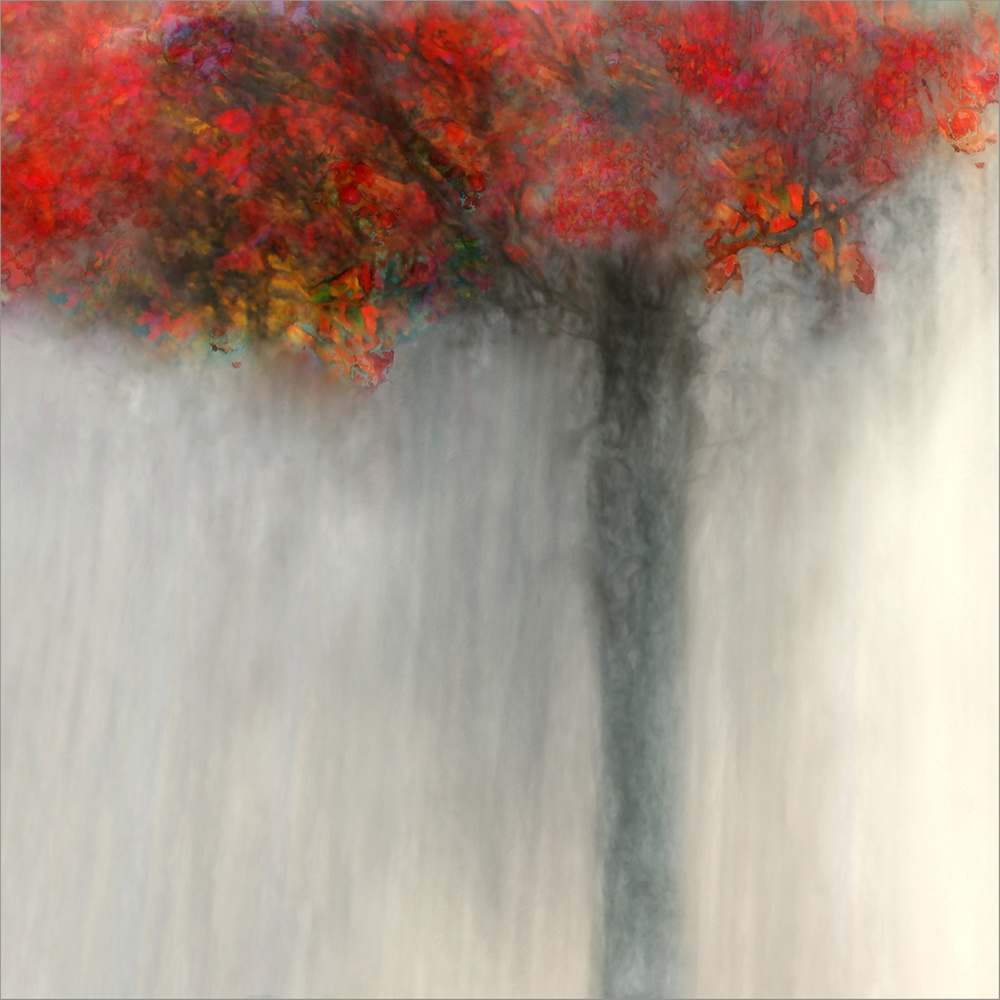 feuriger Herbst von Gilbert Claes