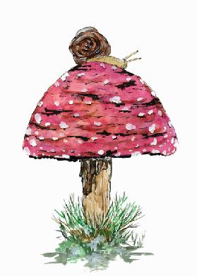 Fly Agaric Toadstool And Snail 2019