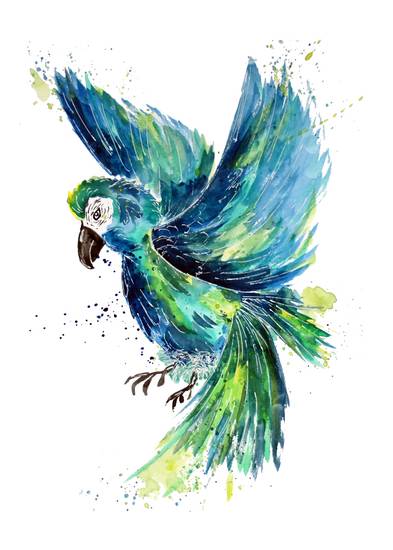 Turquoise Watercolor Parrot 2020