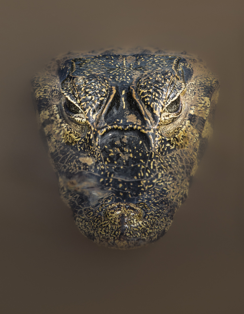 Schlamm-Maske von Greg Barsh