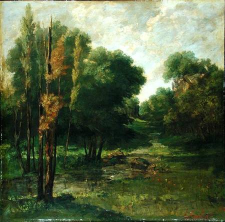 Forest Landscape von Gustave Courbet