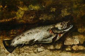 The Trout 1873