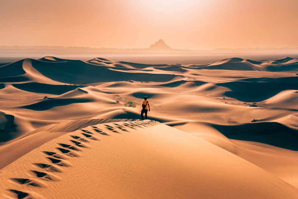 Allein in der Wüste von Hamed Qane